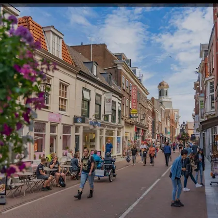 Lage Rijndijk * Leiden