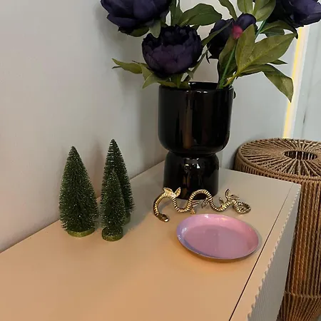 Lage Rijndijk * Лейден