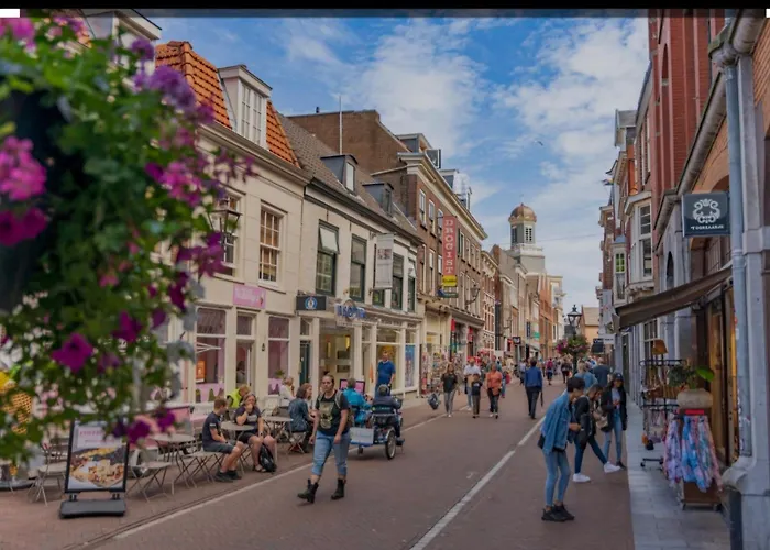 Lage Rijndijk * ليدن