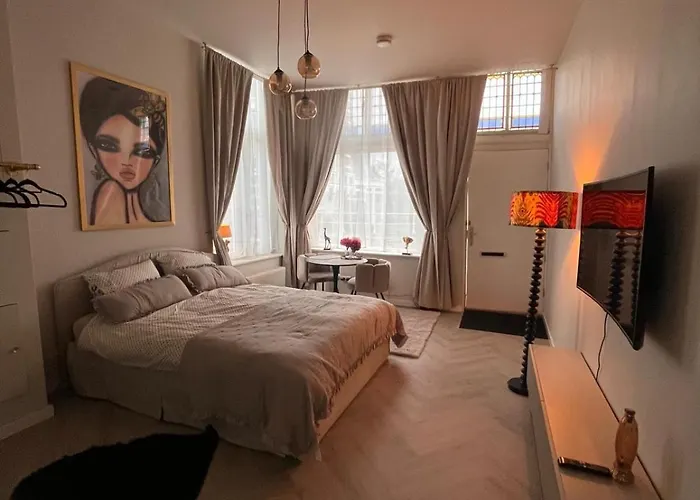 Lage Rijndijk Leiden