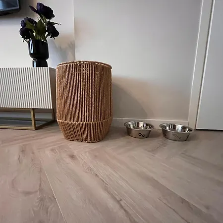 Appartement Lage Rijndijk