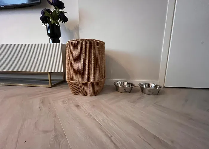 Appartement Lage Rijndijk